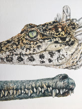 Load image into Gallery viewer, Gharial + Cuban Croc 10x20 giclee print