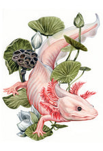 Load image into Gallery viewer, Axolotl + lotus original