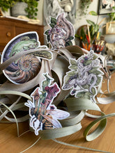 Load image into Gallery viewer, Hog nose, bee, squirrel and frog sticker set