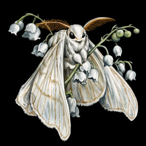 Moth + Lily of the Valley