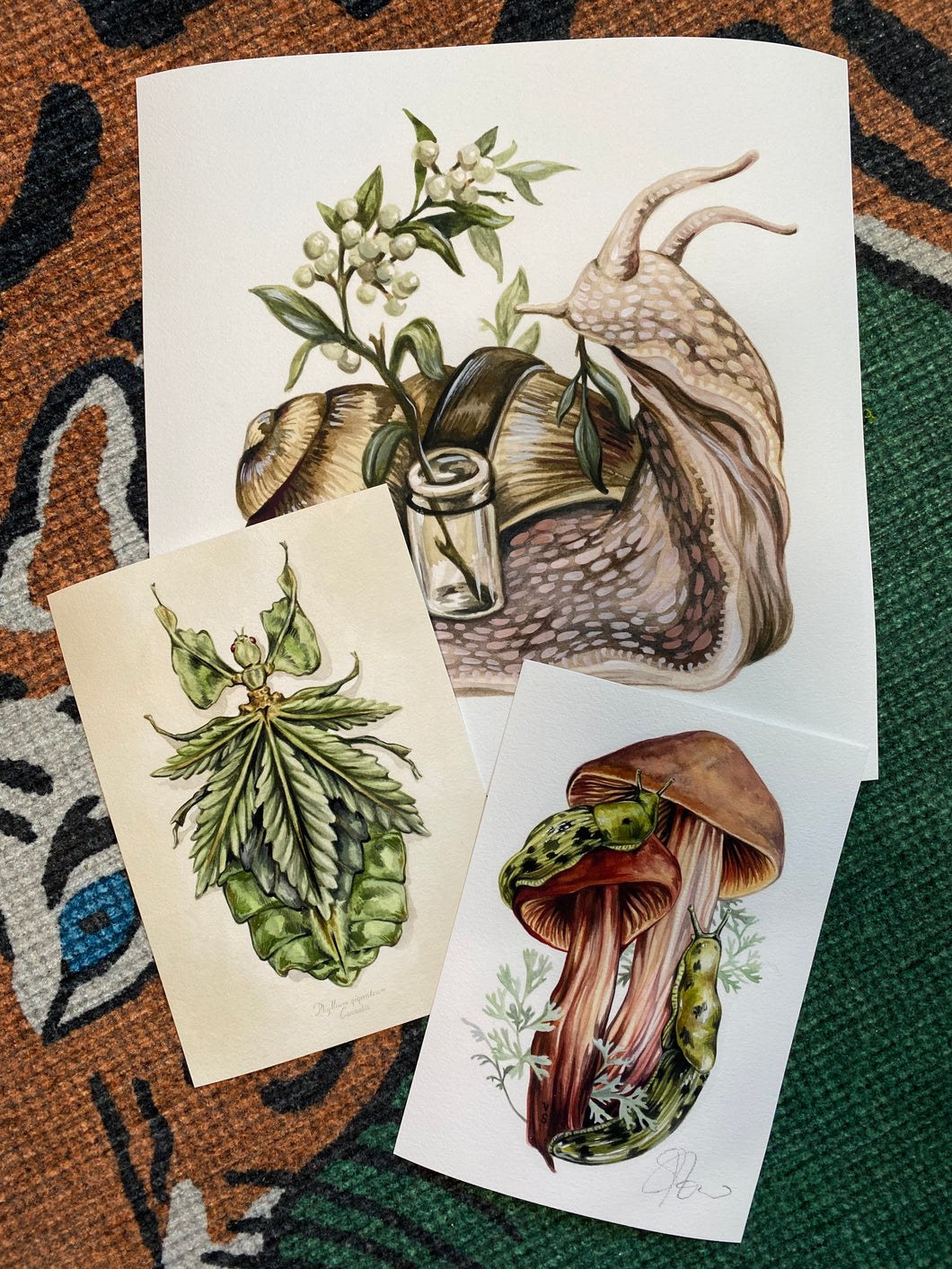Insect odd set