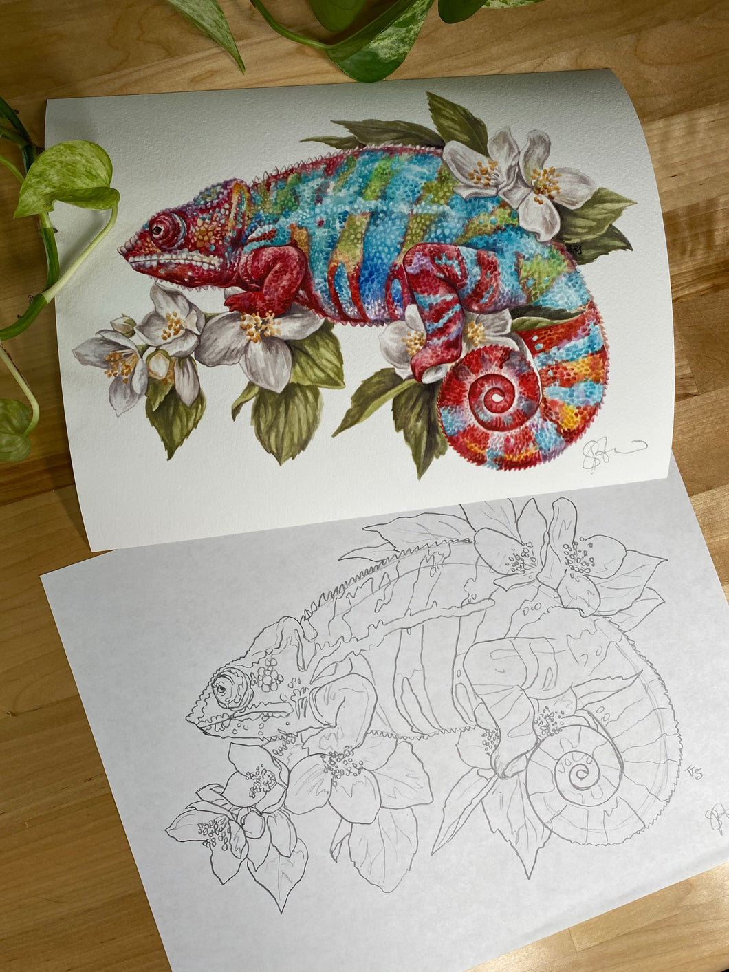 Chameleon original sketch and print
