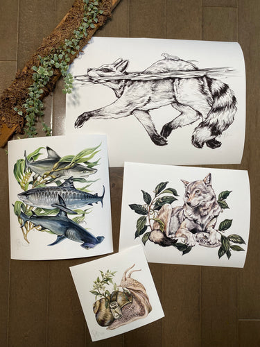 Odd sizes - set 2