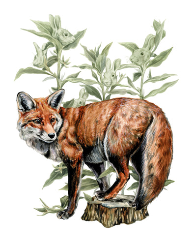 Fox original