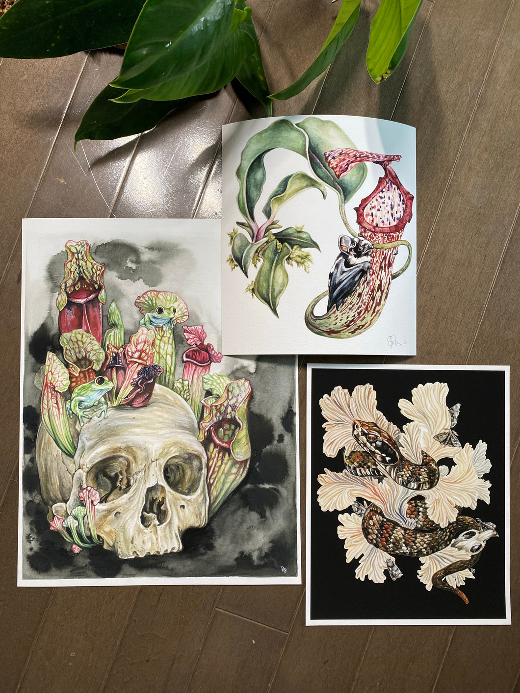 Odd sizes set - Skull