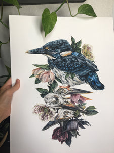 Torch - Kingfisher giclee print