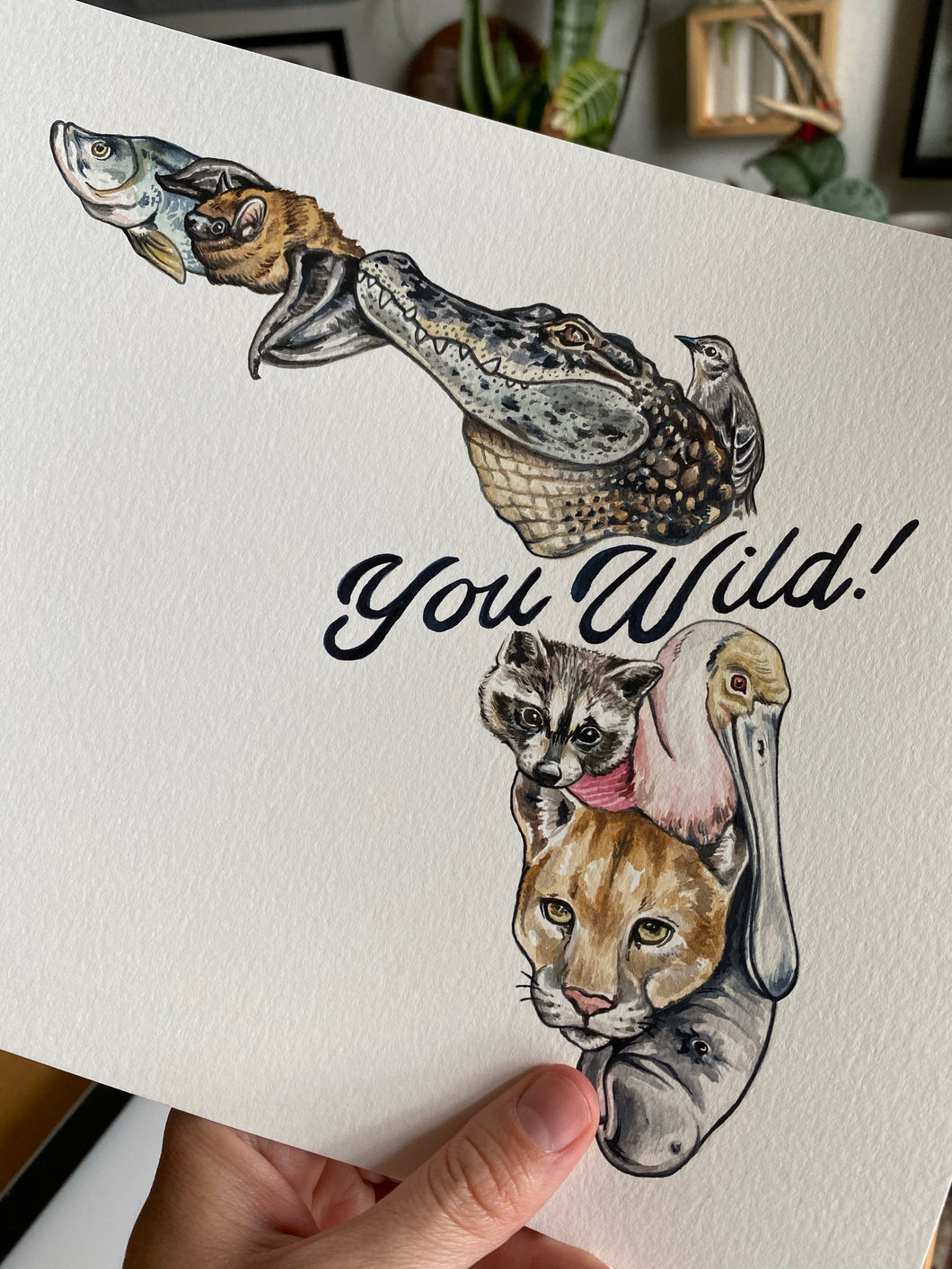 Freehand- Florida, You Wild!