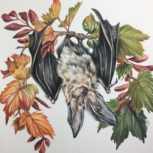Changing seasons bat