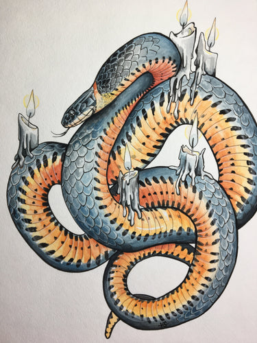 Original Ringneck + Candles