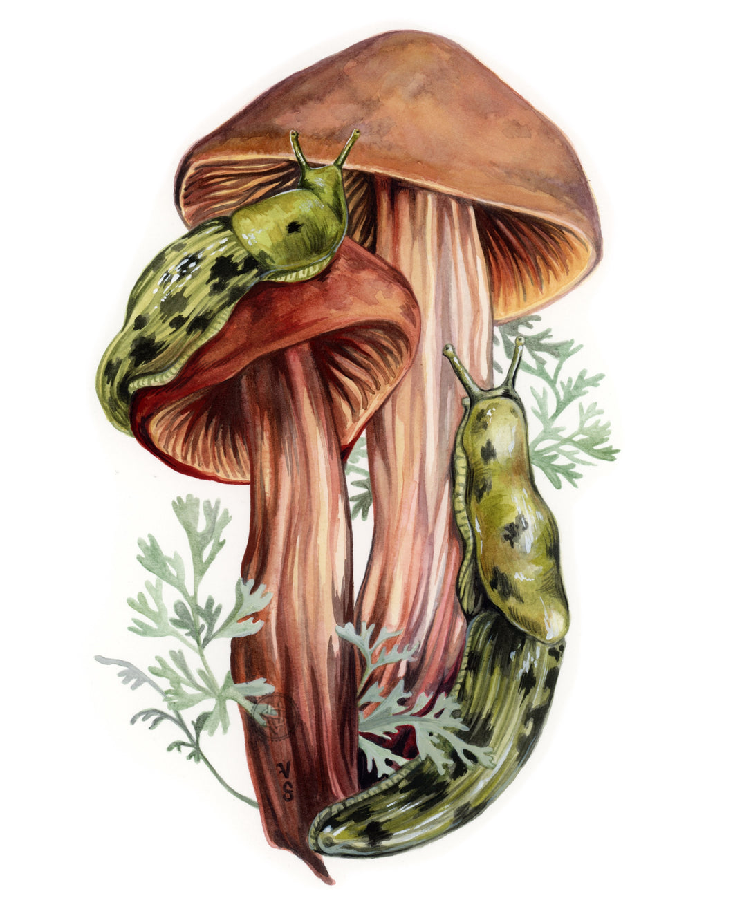 Slugs original