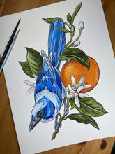 Load image into Gallery viewer, Scrub Jay original