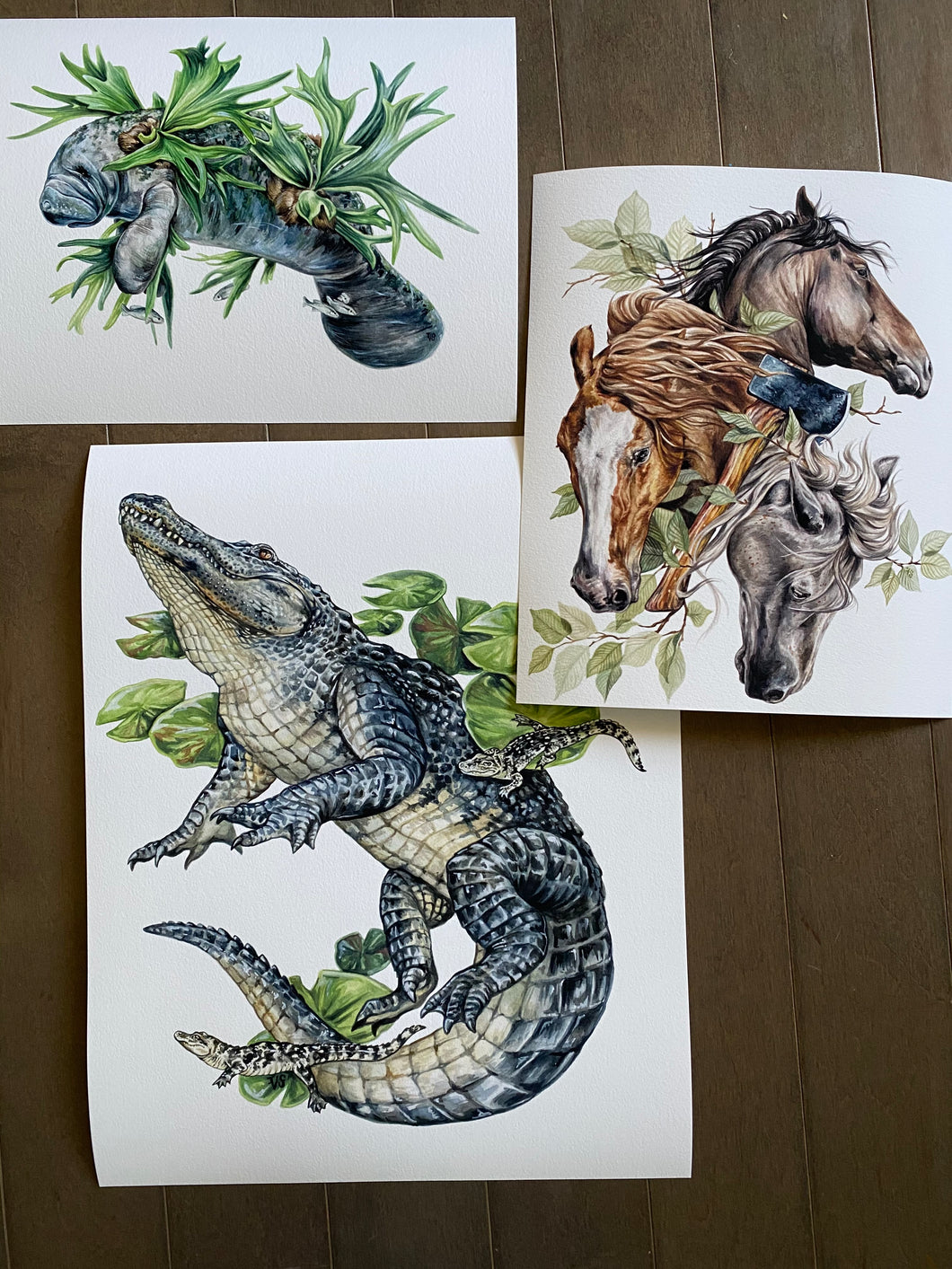 Gator Misprint set