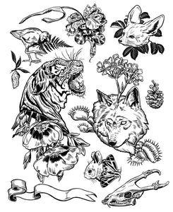 Flash Sheet - limited edition