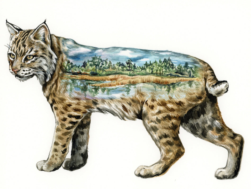 Original Bobcat