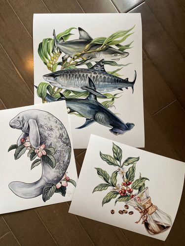 Shark Misprint set