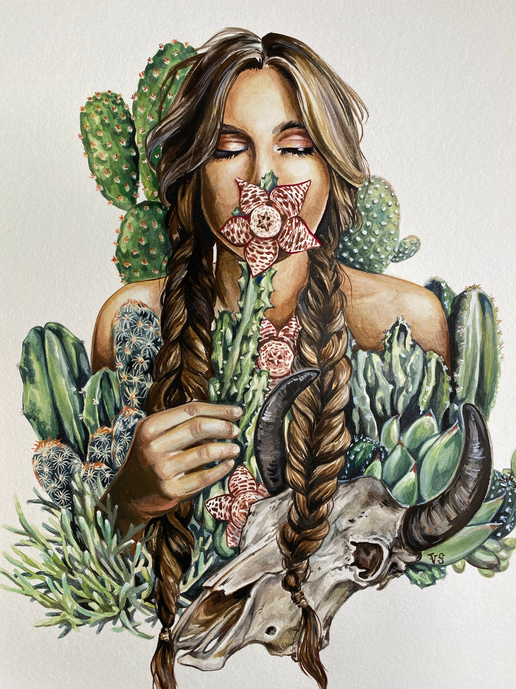 Cactus Flower