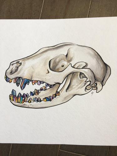 Skull with a grill