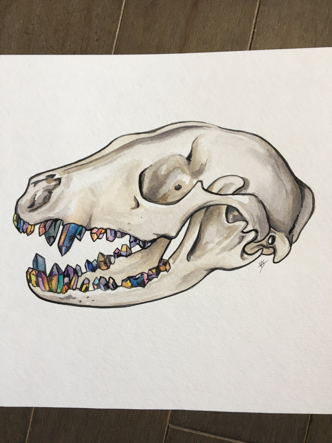 Skull with a grill