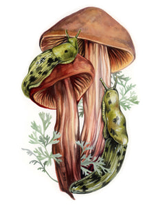 Banana Slugs mini