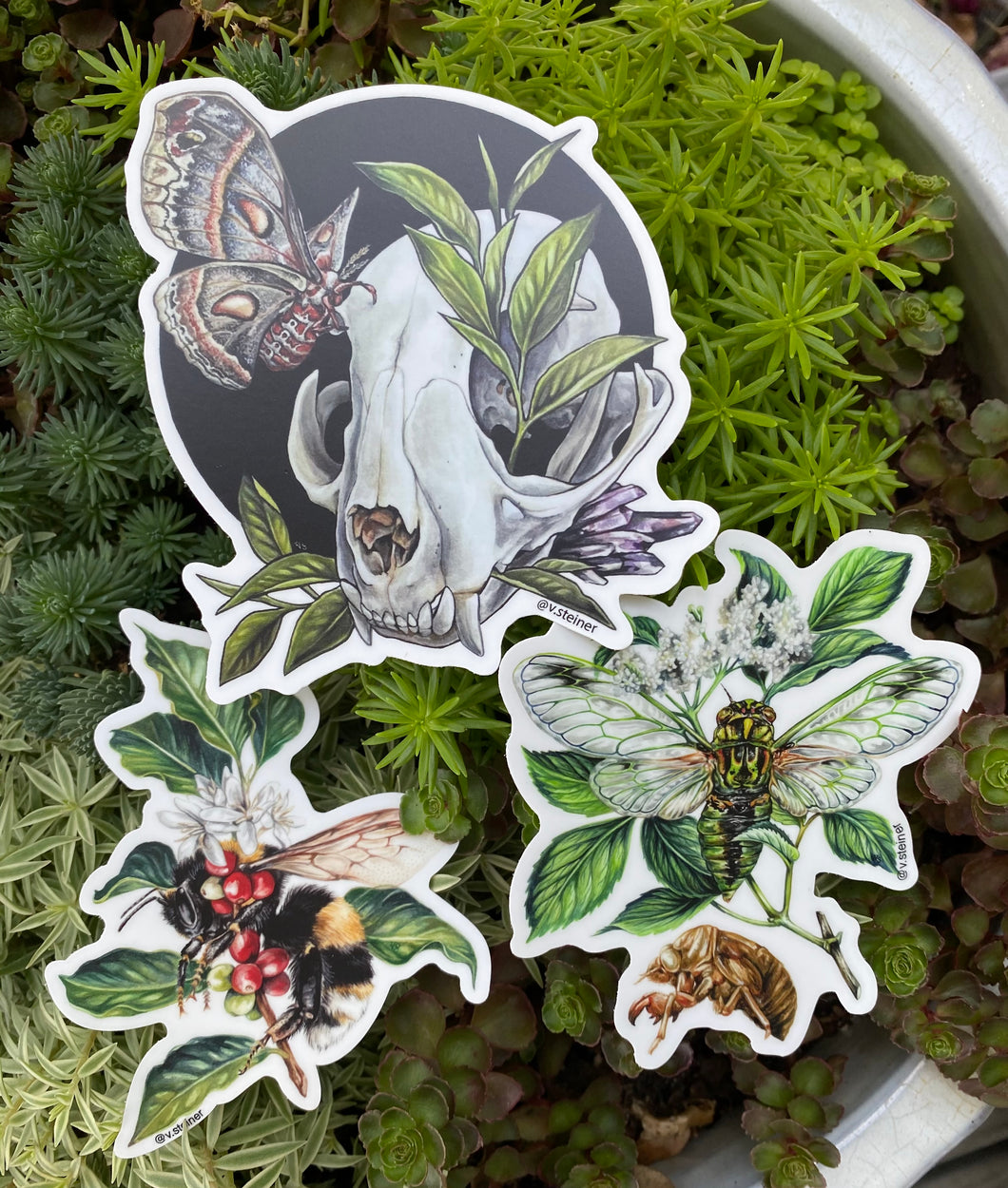 Insect sticker set