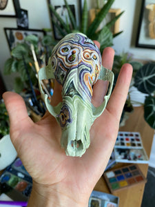 Handpainted raccoon skull