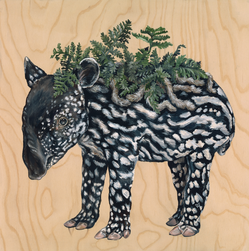 Baby Tapir