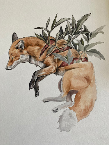 Unfinished fox