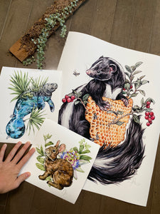 Misprint sizes set - Skunk