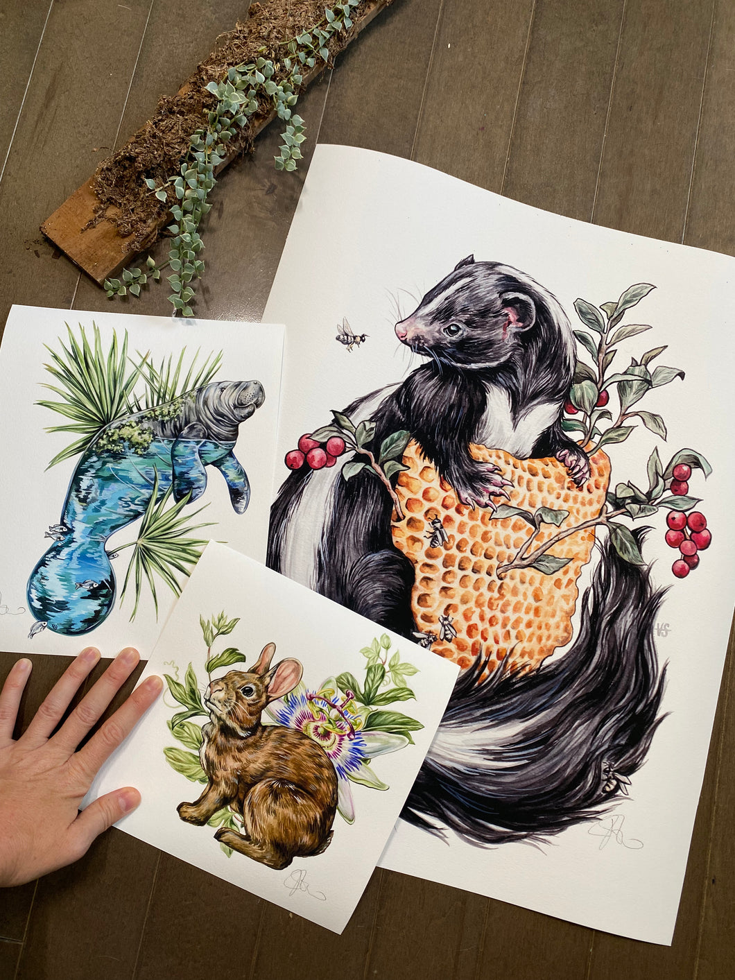 Misprint sizes set - Skunk
