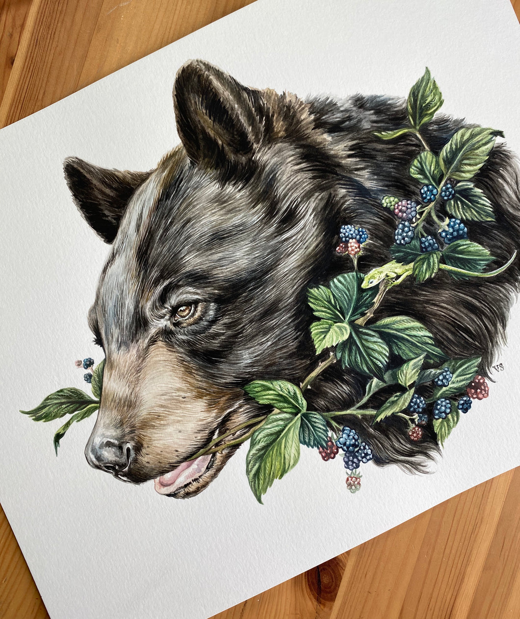 Freehand Black Bear + Anole