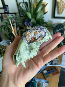 Handpainted raccoon skull
