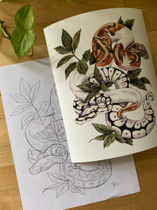 Pythons original sketch and print