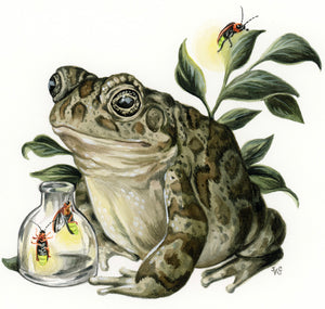 Toad + Fireflies (mini)
