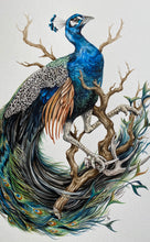 Load image into Gallery viewer, Peacock + Antler original