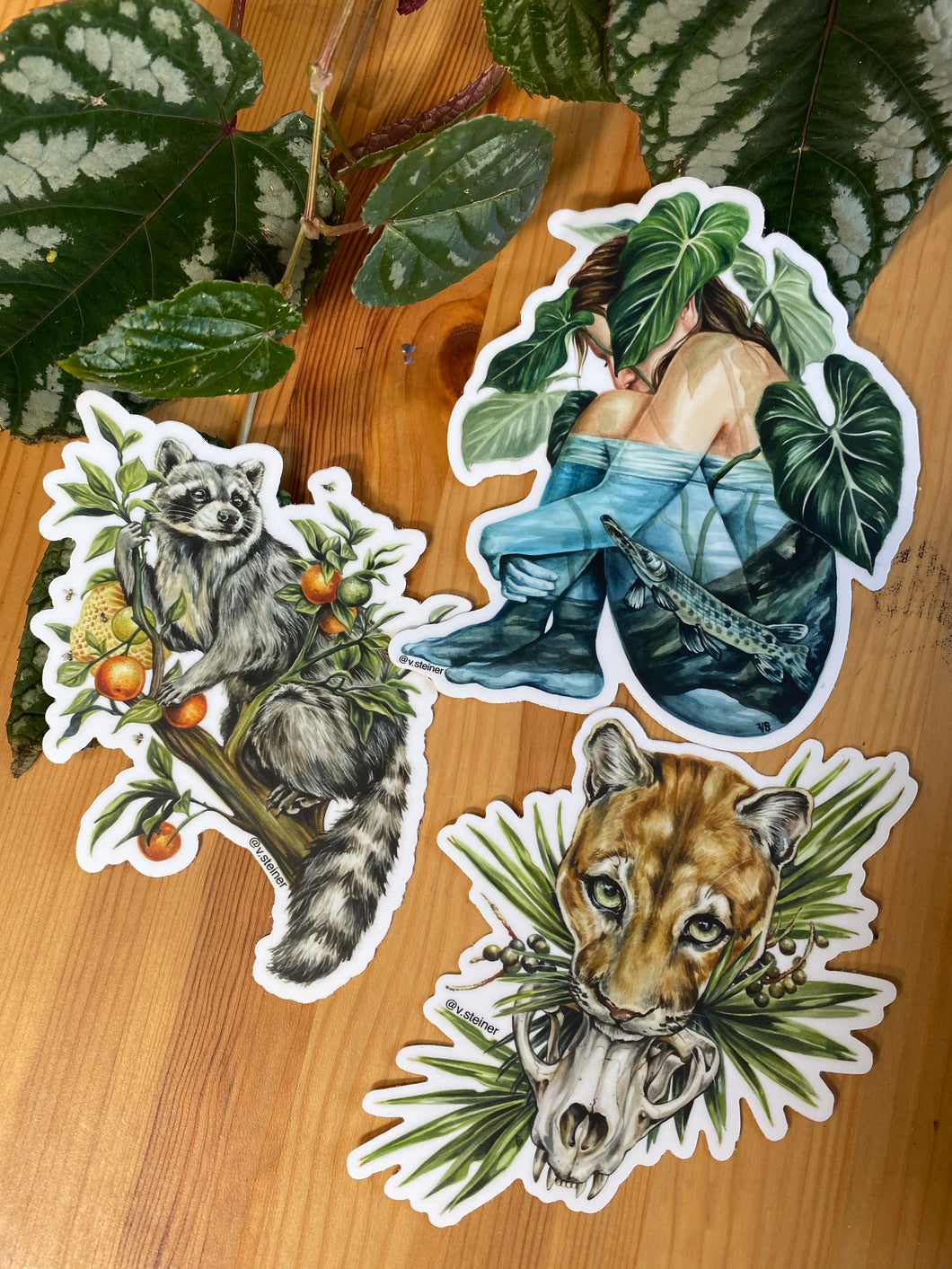 Florida stickers - panther, gar, raccoon
