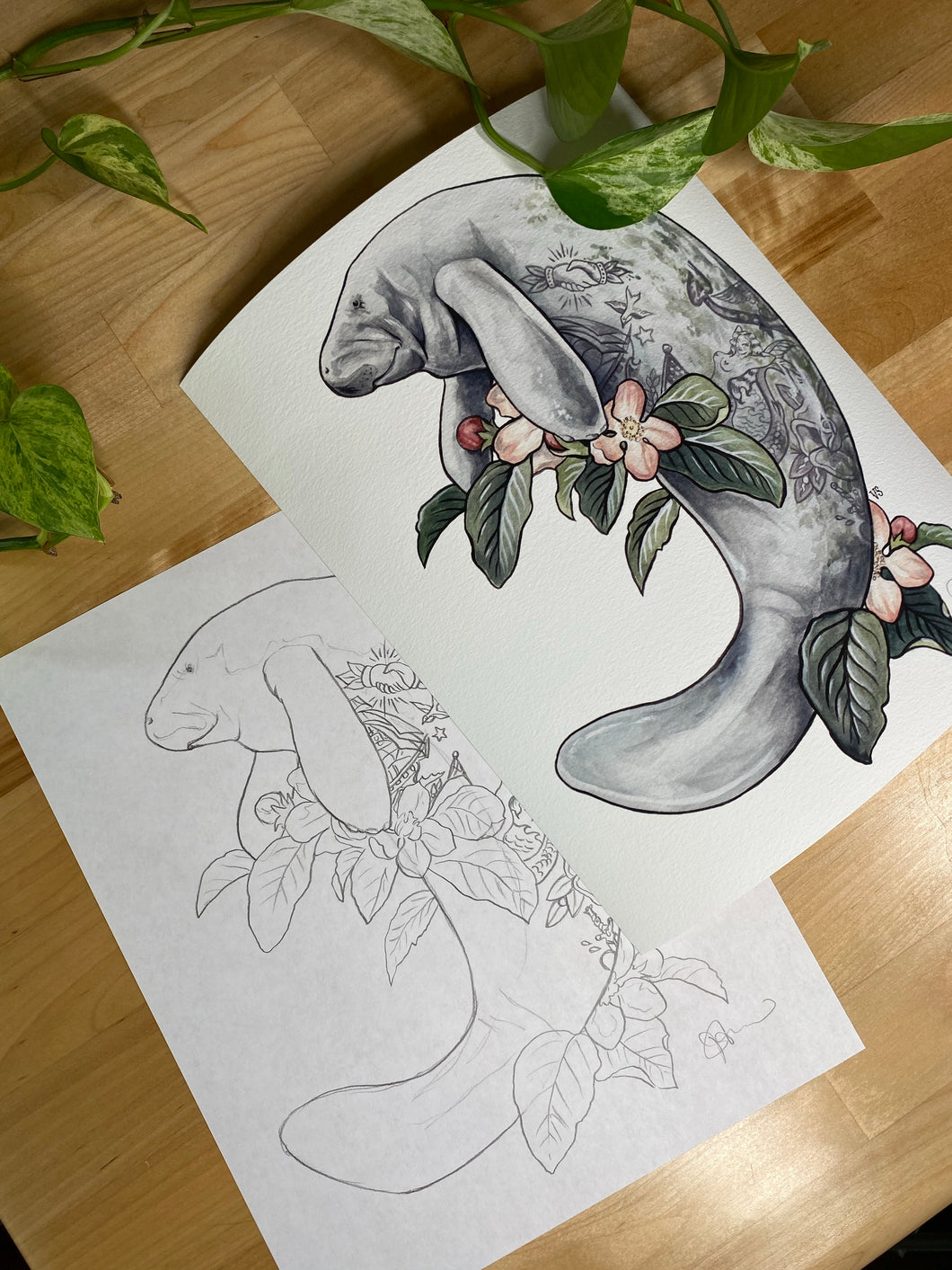 Manatee original sketch and print