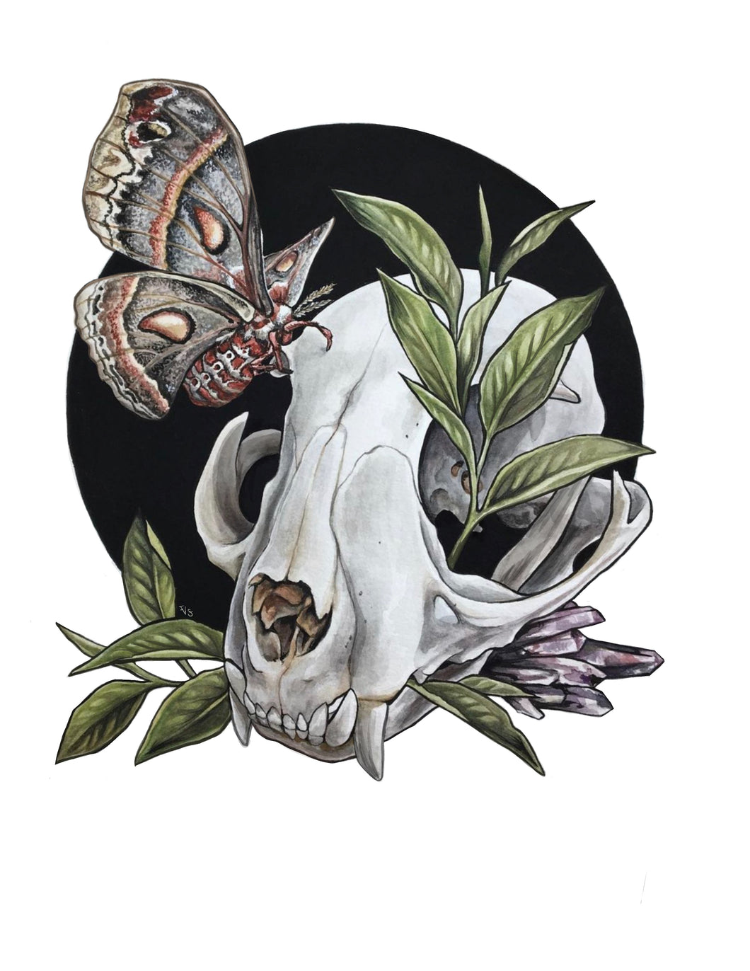 Moth + Cat Skull Print