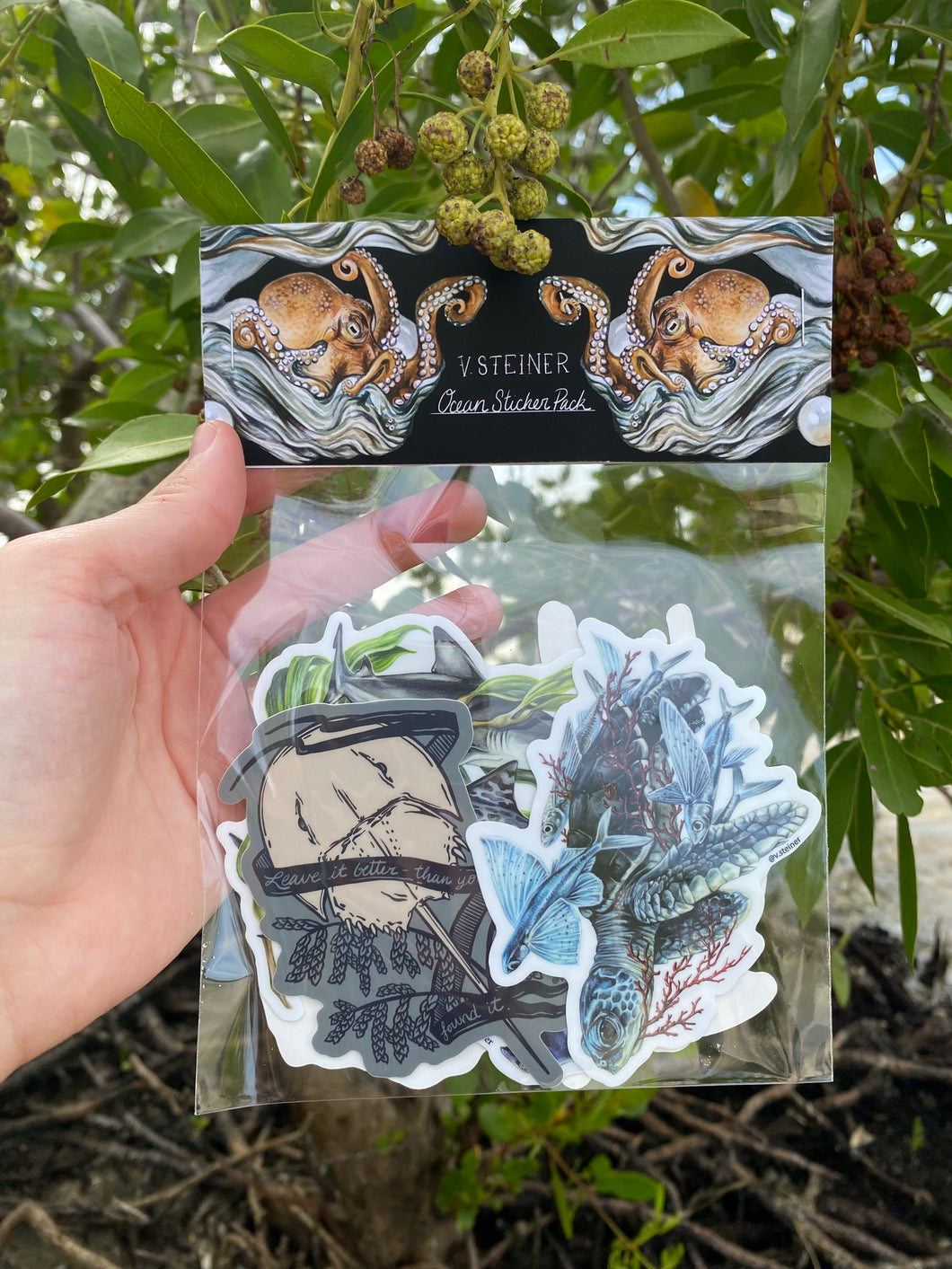 Ocean sticker pack of 5