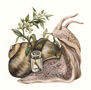 Snail original