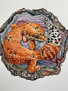 Leopard gecko and agate original