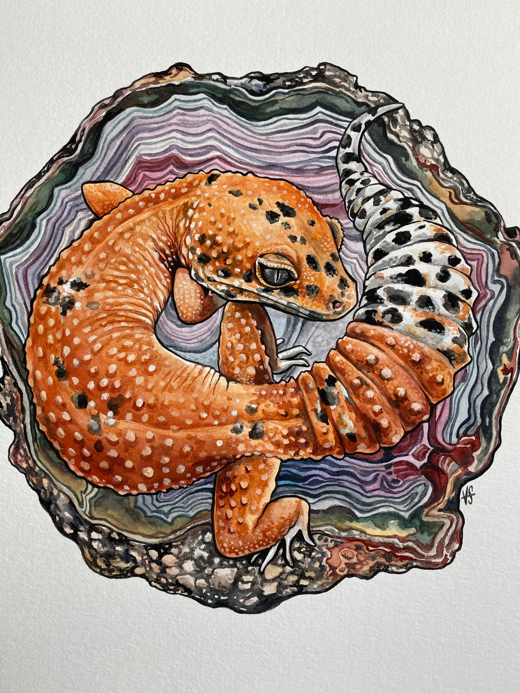 Leopard gecko and agate original