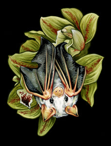 Bat + Orchids Original