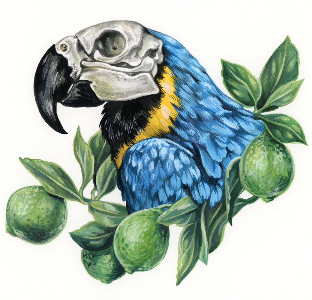 Dead Parrot - can art