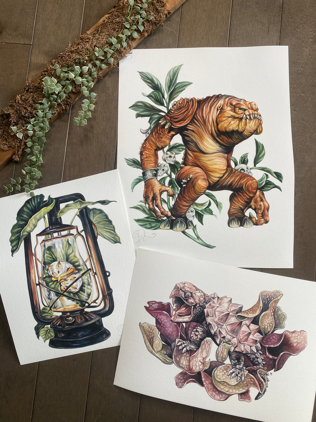 Odd sizes set - Rancor