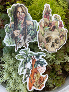 Hoya, cacti & pitcher plant stickers