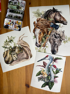 Horses odd set