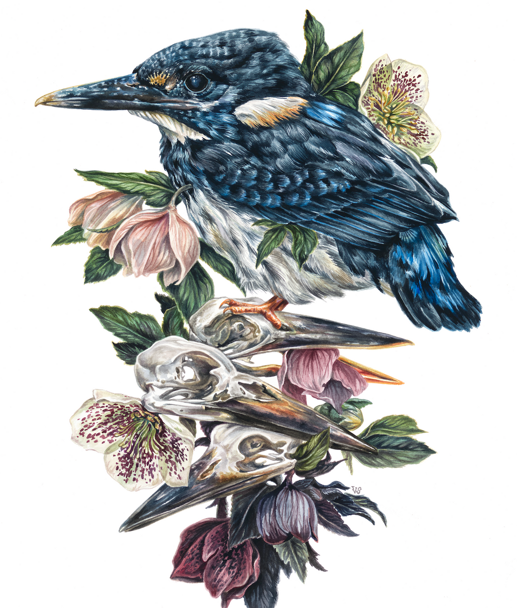 Torch - Kingfisher giclee print